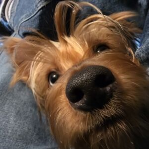 Vintage, HOLIDAY, and More